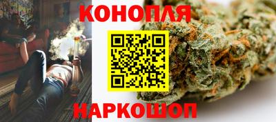 стафф Будённовск