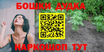 стафф Будённовск