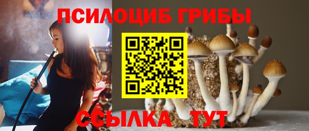 Галлюциногенные грибы прущие грибы Малгобек
